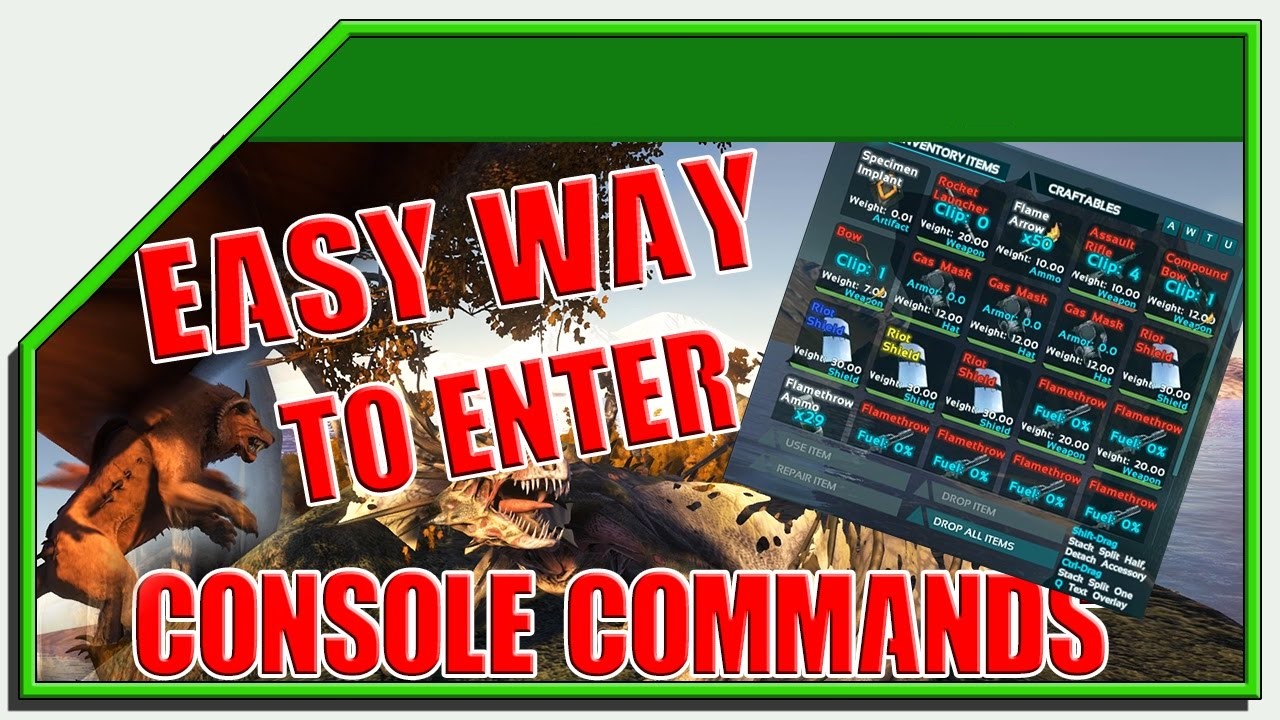 How to Use Console Commands?